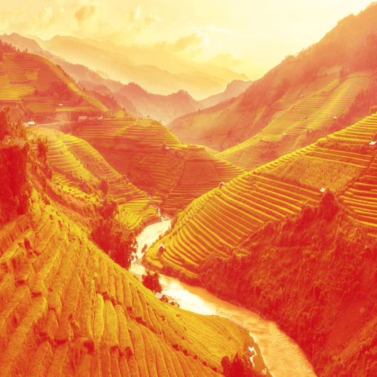 Локшина WOK з соусом «Мі Горенг»